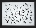 Bird flying stencil