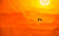 Bird Flying Sun Art Card Abstract Painting Royalty Free Stock Photo