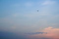 The bird flying on sunset clouds in the blue sky Royalty Free Stock Photo