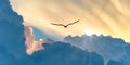 Bird Flying Sunset Clouds Inspiration Hope Banner Royalty Free Stock Photo