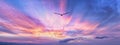 Bird Flying Sunset Inspiration Hope Banner Royalty Free Stock Photo