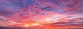 Bird Flying Sunset Inspiration Hope Banner Royalty Free Stock Photo