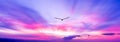 Bird Flying Sunset Silhouette Soaring Beautiful Sky Hope Spirit Sunrise Banner Header Royalty Free Stock Photo