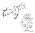 Bird flying up to a bouquet of roses.