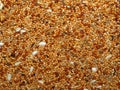 Bird food Royalty Free Stock Photo