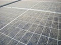 Bird Footprints on Dusty Solar Panel Surface