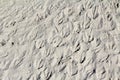 Bird footprints on sand background / texture Royalty Free Stock Photo
