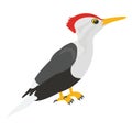 Bird, forestry bird Vector Icon