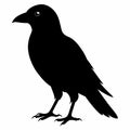 Bird full black silhouette sitting vector illustration Royalty Free Stock Photo