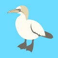 Bird gannet vector illustration flat style profile Royalty Free Stock Photo