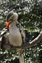 Bird Garden at Beautiful Country House near Leeds West Yorkshire that is not National Trust