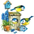 Bird and Garden flowers background. Royalty Free Stock Photo