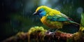 Bird green-headed oriole on a branch close-up. Generative AI