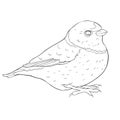 Bird green organist Tanager family. vector illustration