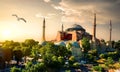 Bird and Hagia Sophia Royalty Free Stock Photo