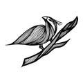 Bird hand-drawn branch in outline style on white background. Background vector illustration. Bird hand-drawn branch in the Royalty Free Stock Photo
