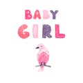 Bird and hand drawn lettering - Baby Girl