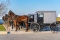 Amish Buggies and Horses Royalty Free Stock Photo