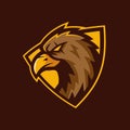 Hawk Head Sport Logo Design