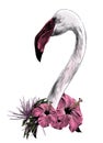 Bird head Flamingo with long neck sideways in profile