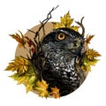 Bird head hawk close-up in a circle surrounded by dry branches and autumn maple leaves Royalty Free Stock Photo