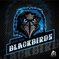Bird head logo for any sport team blackbirds