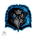 Bird head logo for any sport team blackbirds isolated