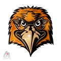 Bird head logo for any sport team hawks isolated