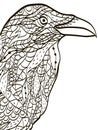 Bird head raven coloring book for adults vector