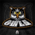 Bird head with shiny eyes. Logo for any sport team owls on dark