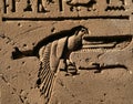 Bird hieroglyph 2