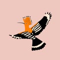 bird hoopoe vector illustration style flat silhouette set side