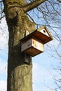 Bird house