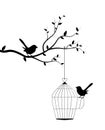 Bird on branch with bird cage with open door  vector. Two birds silhouettes isolated on white background Royalty Free Stock Photo