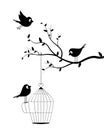 Birds silhouettes on branch and open bird cage illustration, vector Royalty Free Stock Photo