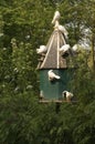 Bird house