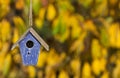 Bird House in Autumn Fall Sunshine & Golden Leaves