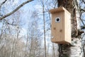 Bird house on a birch tree in spring