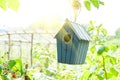 Bird house or bird box in summer sunshine with natural green leaves background. Selective focus. Copy space Royalty Free Stock Photo