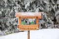 Bird house or bird feeder in winter garden