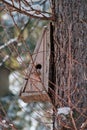 Bird house. Booth breeding on tree Royalty Free Stock Photo