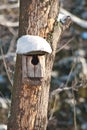 Bird house. Booth breeding on tree Royalty Free Stock Photo