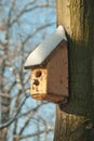 Bird house. Booth breeding on tree Royalty Free Stock Photo