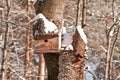 Bird house. Booth breeding on tree Royalty Free Stock Photo