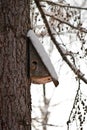 Bird house. Booth breeding on tree Royalty Free Stock Photo