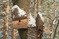 Bird house. Booth breeding on tree Royalty Free Stock Photo
