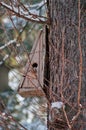 Bird house. Booth breeding on tree Royalty Free Stock Photo