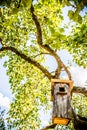 Bird house box Royalty Free Stock Photo