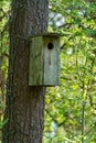 A bird house or bird box in spring sunshine with natural green leaves background Royalty Free Stock Photo