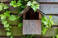 Bird House Covered in Cobwebs and Ivy Green Leaves Royalty Free Stock Photo